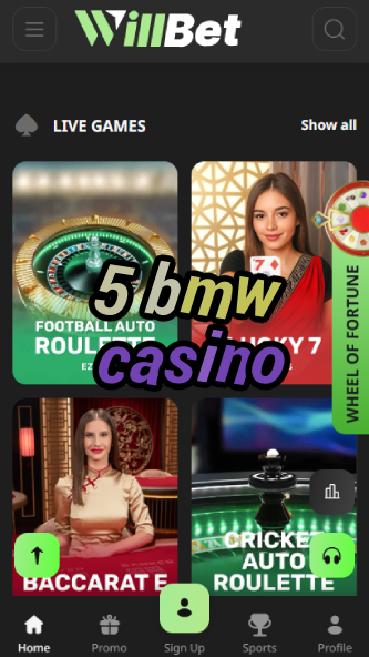 5 BMW Casino - Luxury Car Themed Casino-www.bdqngd.com
